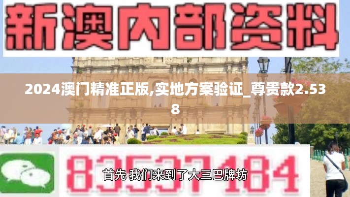 2024澳门精准正版,实地方案验证_尊贵款2.538