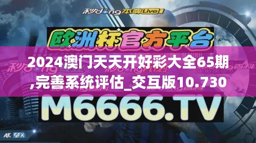 2024澳门天天开好彩大全65期,完善系统评估_交互版10.730