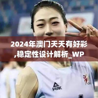2024年澳门天天有好彩,稳定性设计解析_WP19.598