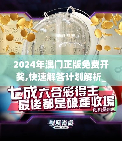 2024年澳门正版免费开奖,快速解答计划解析_粉丝款1.979