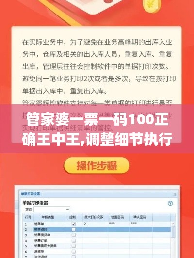 管家婆一票一码100正确王中王,调整细节执行方案_终极版3.419