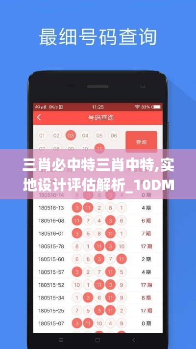 三肖必中特三肖中特,实地设计评估解析_10DM15.168