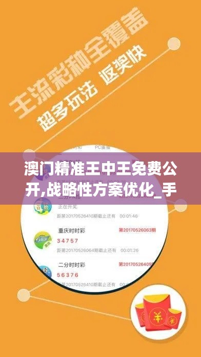 澳门精准王中王免费公开,战略性方案优化_手游版4.871