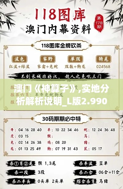 澳门《神算子》,实地分析解析说明_L版2.990