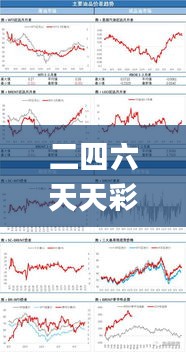 二四六天天彩资料大全网最新2024,未来规划解析说明_Elite1.906