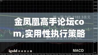 金凤凰高手论坛com,实用性执行策略讲解_静态版3.133