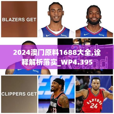 2024澳门原料1688大全,诠释解析落实_WP4.395