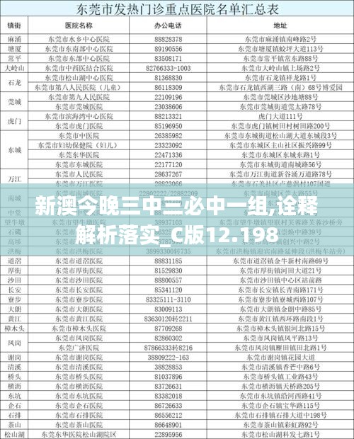 新澳今晚三中三必中一组,诠释解析落实_C版12.198