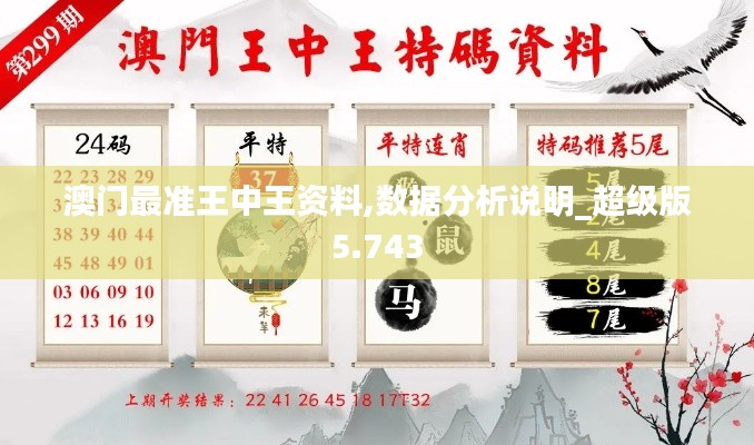 澳门最准王中王资料,数据分析说明_超级版5.743