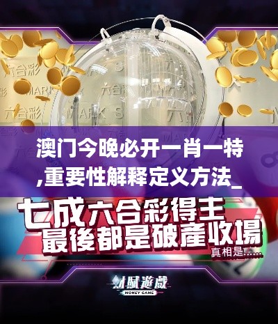 澳门今晚必开一肖一特,重要性解释定义方法_PalmOS9.210
