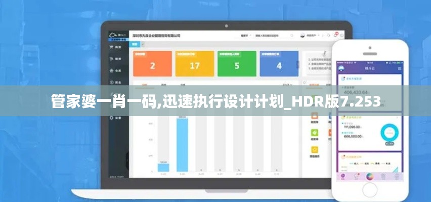 管家婆一肖一码,迅速执行设计计划_HDR版7.253