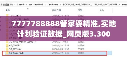 7777788888管家婆精准,实地计划验证数据_网页版3.300