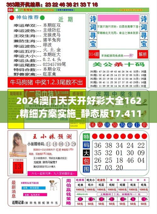 2024澳门天天开好彩大全162,精细方案实施_静态版17.411