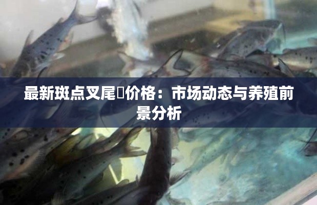一本正经 第3页