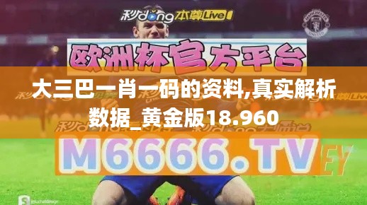 大三巴一肖一码的资料,真实解析数据_黄金版18.960