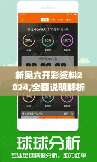 新奥六开彩资料2024,全面说明解析_WP110.996