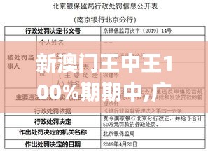 新澳门王中王100%期期中,广泛的解释落实方法分析_黄金版14.113