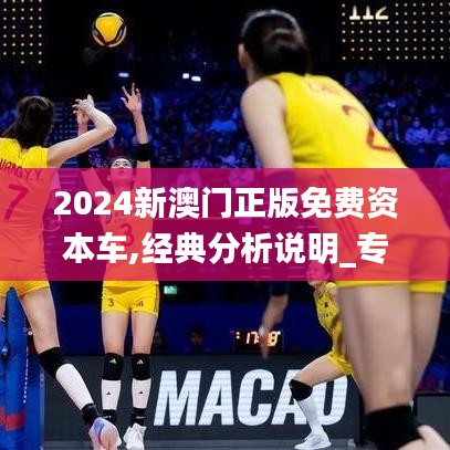 2024新澳门正版免费资本车,经典分析说明_专家版10.312