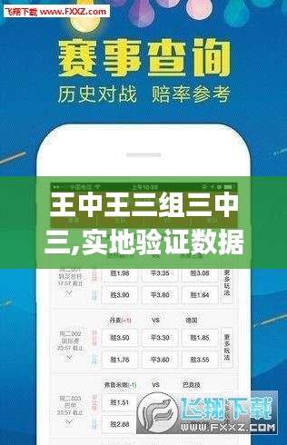 王中王三组三中三,实地验证数据设计_Advanced5.170
