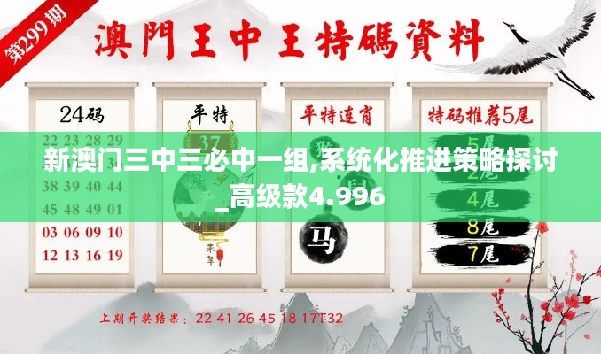 新澳门三中三必中一组,系统化推进策略探讨_高级款4.996