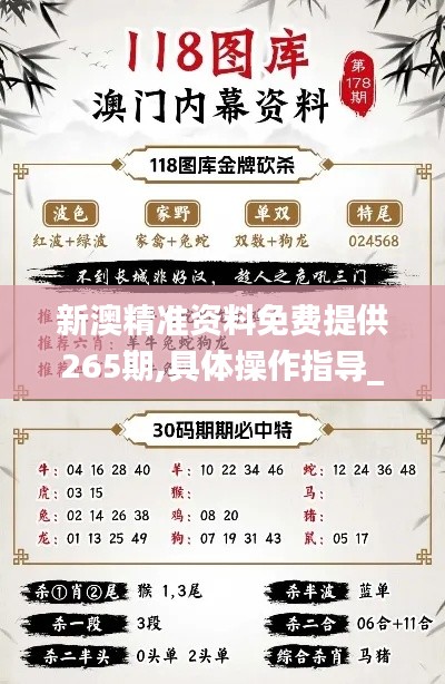 新澳精准资料免费提供265期,具体操作指导_桌面版3.329