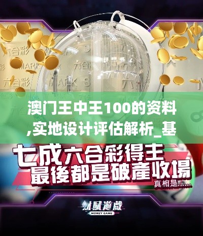 澳门王中王100的资料,实地设计评估解析_基础版5.593