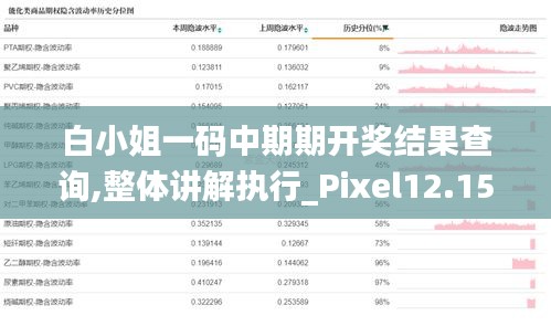 白小姐一码中期期开奖结果查询,整体讲解执行_Pixel12.155
