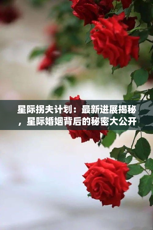 星际拐夫计划：最新进展揭秘，星际婚姻背后的秘密大公开！