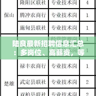 陆良最新招聘信息汇总：多岗位、高薪资，等你来挑战！