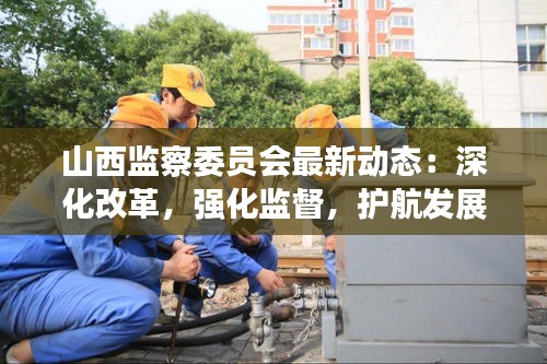 纲挈目张 第3页