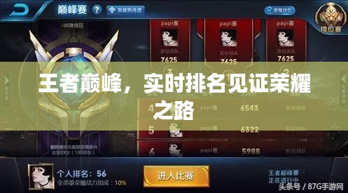王者巅峰，实时排名见证荣耀之路