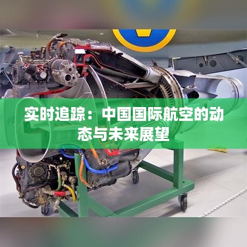 张弓拔弩 第3页