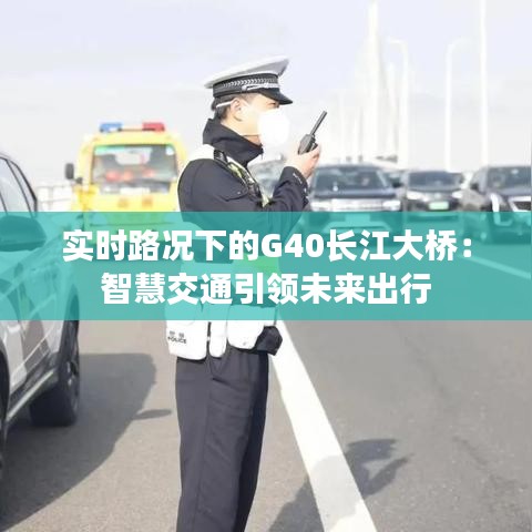 轻徙鸟举 第2页