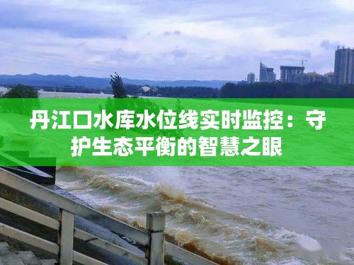 丹江口水库水位线实时监控：守护生态平衡的智慧之眼