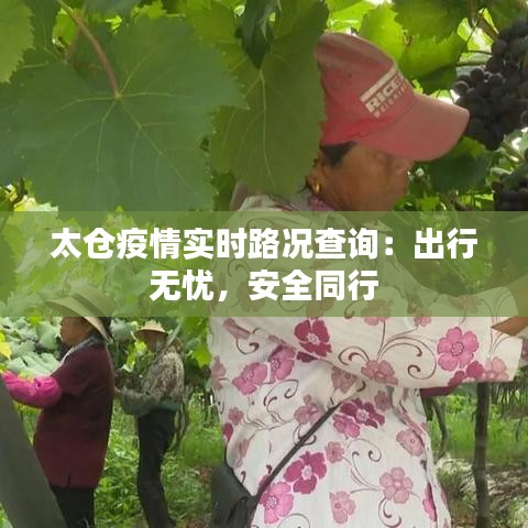 太仓疫情实时路况查询：出行无忧，安全同行