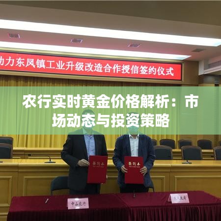 农行实时黄金价格解析：市场动态与投资策略
