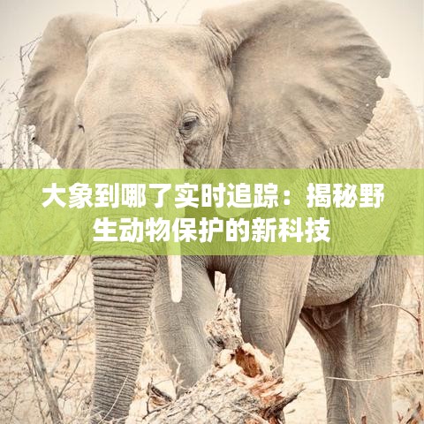 弃文就武 第2页