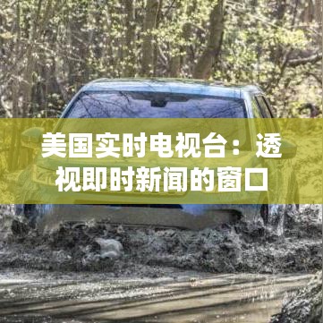 美国实时电视台：透视即时新闻的窗口