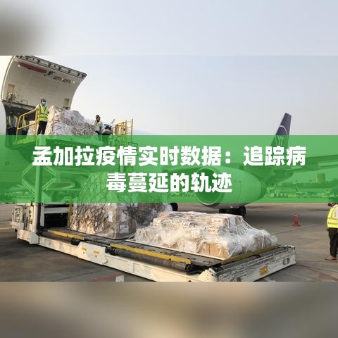 孟加拉疫情实时数据：追踪病毒蔓延的轨迹