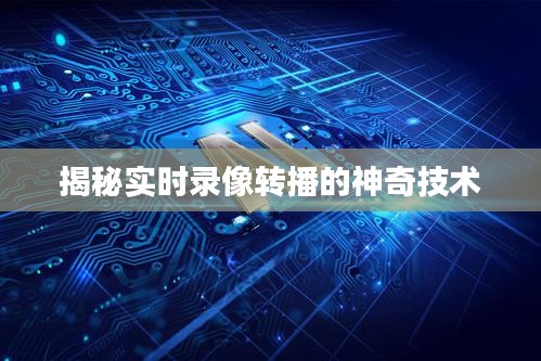 小心翼翼 第2页