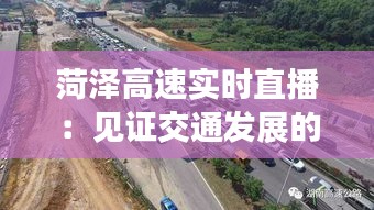 还朴反古 第2页