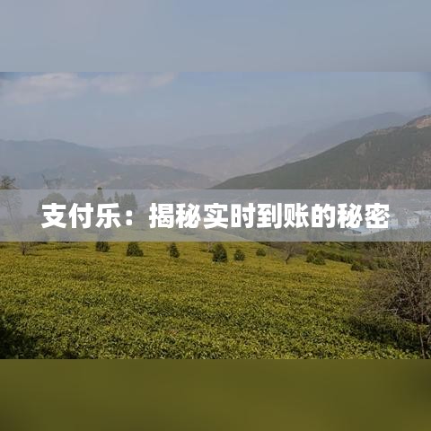 支付乐：揭秘实时到账的秘密