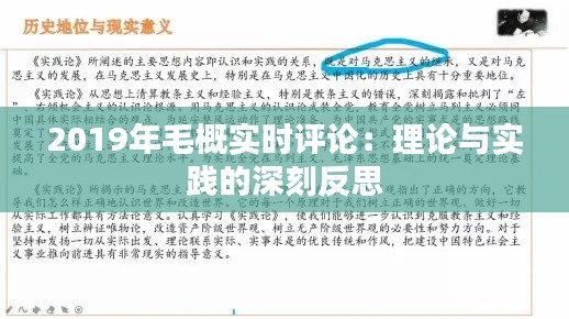 2019年毛概实时评论：理论与实践的深刻反思
