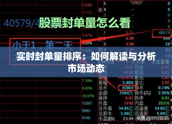 龙飞九五 第2页