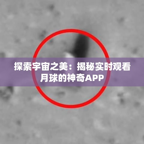 飞燕化龙 第2页