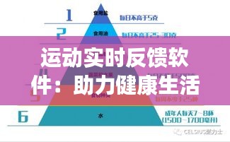 运动实时反馈软件：助力健康生活的新伙伴