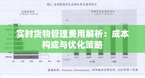 实时货物管理费用解析：成本构成与优化策略