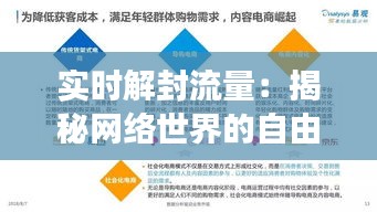 实时解封流量：揭秘网络世界的自由畅游