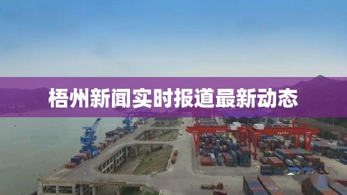 梧州新闻实时报道最新动态
