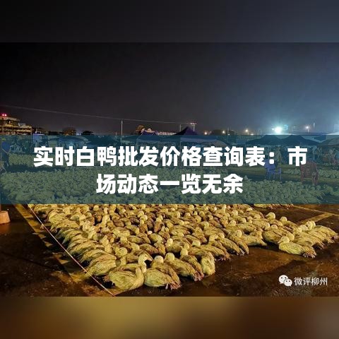 实时白鸭批发价格查询表：市场动态一览无余